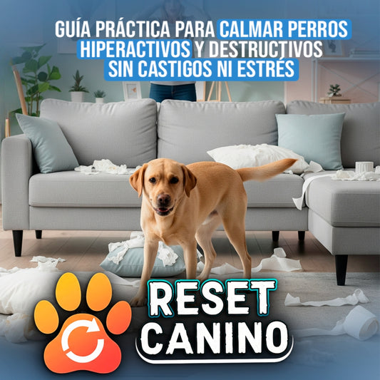 RESET CANINO - Domina a tu perro.